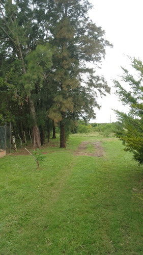 Vendo Quinta Grande Con 1 Hts 3/4