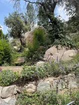 Comprar Vendo Terreno Rural De 9,000 Mm2 Distrito De Sta. Eulalia