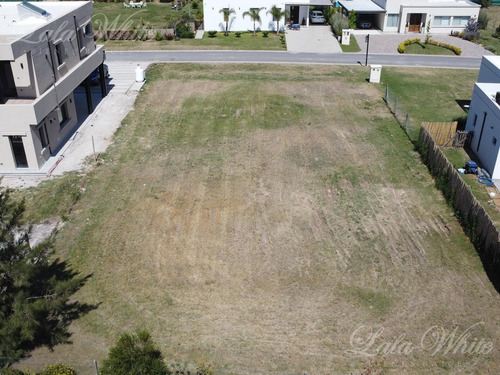 Imagen 6 de 14 de Venta - Lote En La Alameda