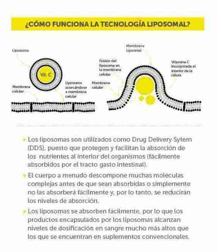 Imagen 3 de 5 de Vitamina C Liposomal - Wellplus (60 Caps)