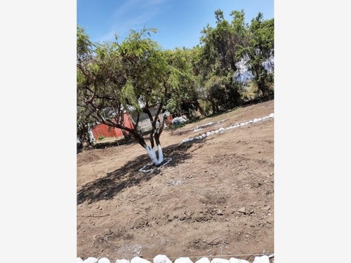 Imagen 8 de 10 de Terreno En Venta San Juan Texcalpan