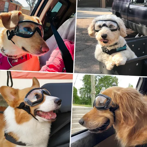 Lentes para perros hot sale