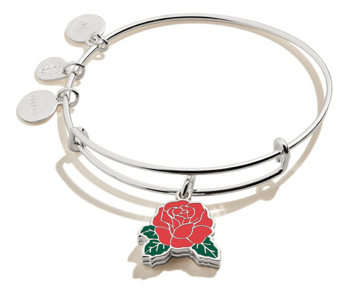 Alex And Ani Red Rose Sentimental Silder Charm Bangle 2 A In