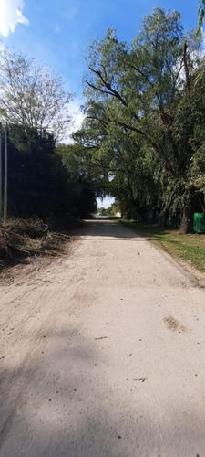 Imagen 6 de 6 de Lotes En Venta En Cañuelas Bº 1 De Mayo
