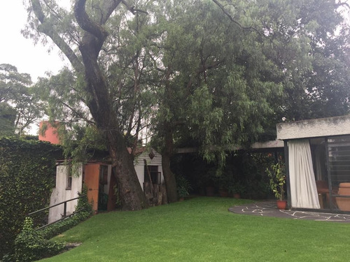 Imagen 14 de 14 de Casa En Un Solo Nivel Rodeada De Jardín Para Re Modelar