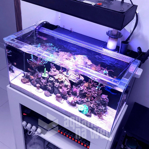 Imagem 3 de 5 de Aquário Com Sump Traseiro 120 Litros 60x50x40 Vidro 6mm