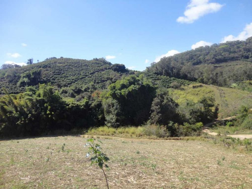 Imagem 14 de 30 de Fazenda De Café Em Monte Sião-mg - 7676