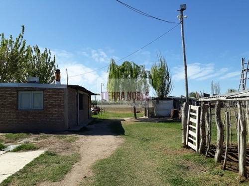 Imagen 3 de 17 de Permuto Por Casa Finca Agroganadera