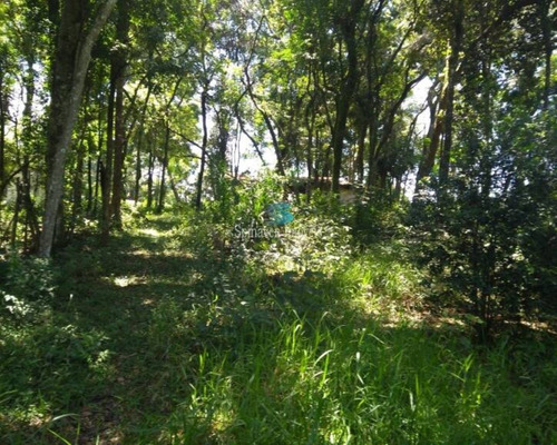 Imagem 7 de 12 de Chácara Em Atibaia - Ch00682 - 69735844