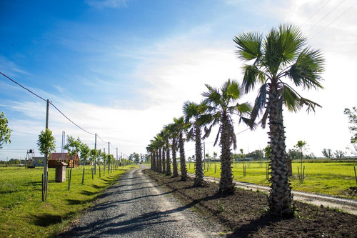 Imagen 7 de 13 de Lote Quintas Los Fresnos Uribelarrea Segunda Etapa