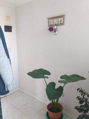 Imagen 13 de 20 de Vendo Dpto 2 Dor Con Cochera Jardines De La Estanzuela