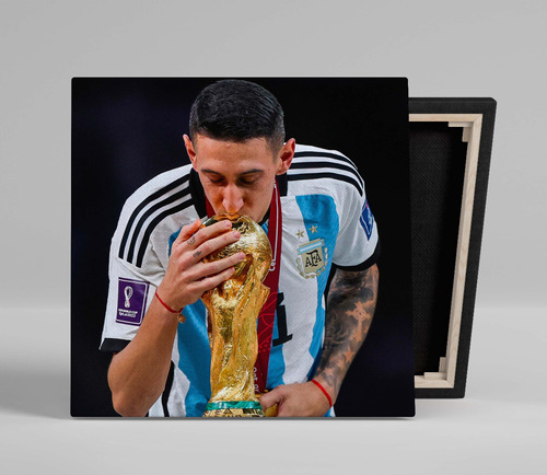 Cuadro Argentina Campeón Mundial Angel Di María 40x40 Cm