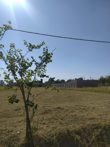 Imagen 4 de 5 de Lote Nº 97, En Venta, Loteo Los Naranjos, Rqta