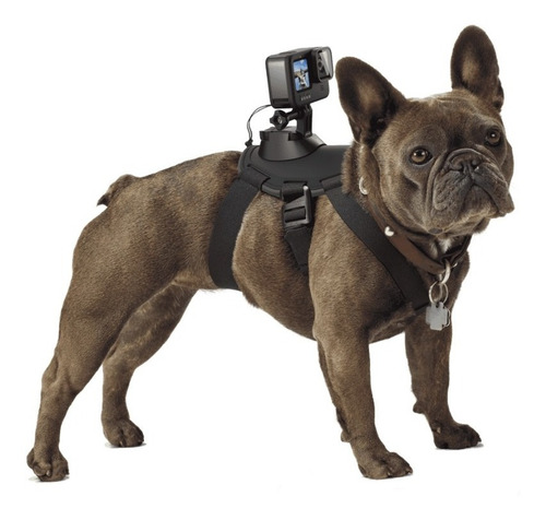Imagen 2 de 2 de Arnés Para Perros Con Soporte Gopro - Videoaventura
