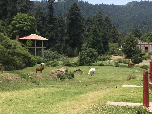 Imagen 9 de 9 de Terreno En Venta Terrenos Real Del Monte 24 Msi No Ejido