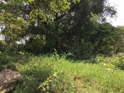Imagen 5 de 30 de 33 Has Cerca De Altozano El Nuevo Colima
