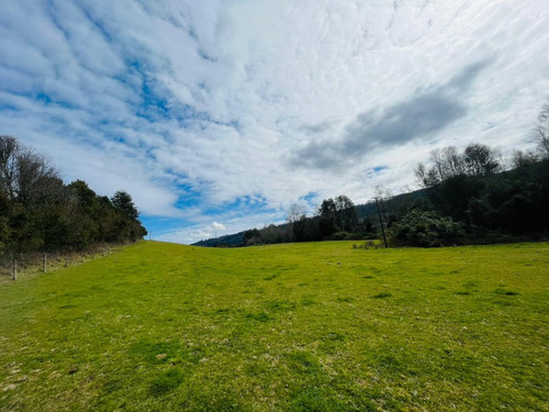 Se Vende Proyecto Aprobado Por Sag Panguipulli Los Lagos
