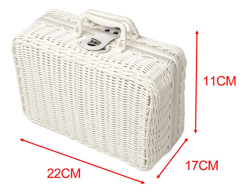 Cesta De Picnic, Cesta De Almacenamiento De Ratán Con S