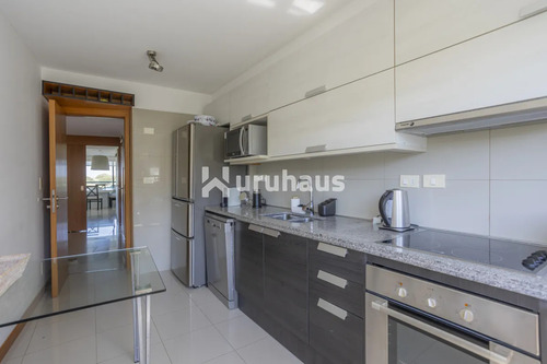 Alquiler Departamento 4 Dormitorios Playa Brava Blue Bird