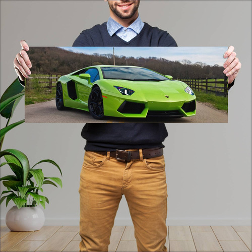 Cuadro 30x80cm Auto 2011 Lamborghini Aventador L 238