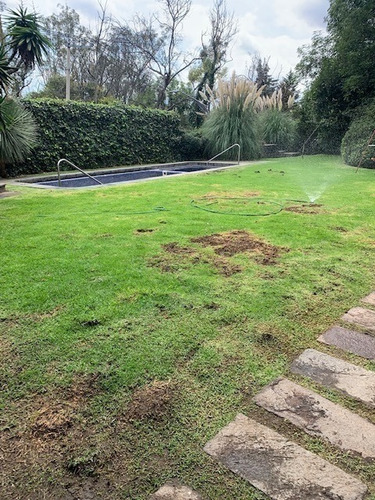 Imagen 8 de 8 de Terreno/casa Venta Virreyes En Esquina