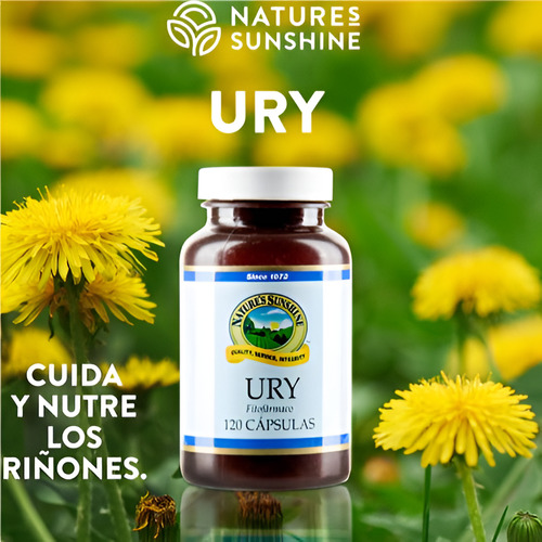 Ury - Sistema Urinario
