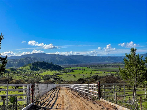 Parcela En Venta En Hualañe