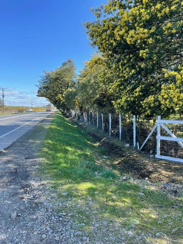 Venta Campo Agrícola Freire