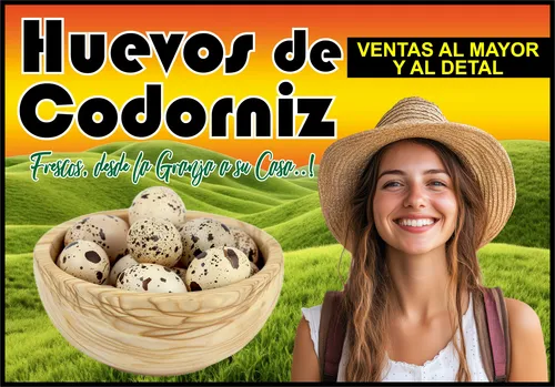 Huevos Codorniz 24 Unidades.