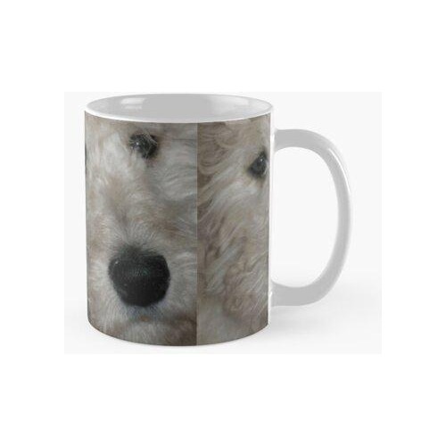 Taza  Adorablemente Lindo Oso De Peluche Golden Doodle Cacho