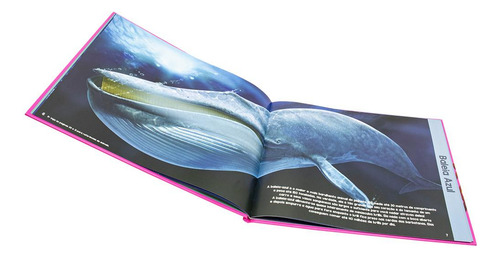 Explorando O Mundo: Animais Do Oceano, De Lake Press. Editorial Happy Books, Tapa Mole En Português