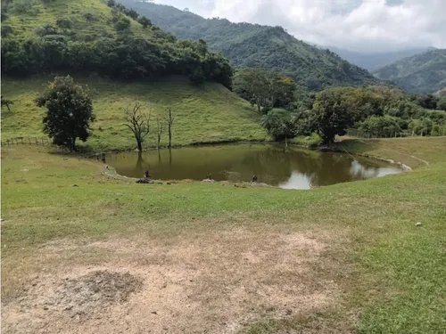 Venta Finca El Limonar Ebéjico