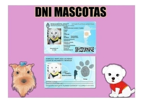 Plantillas Dni Mascotas / 3 Versiones Editables Psp