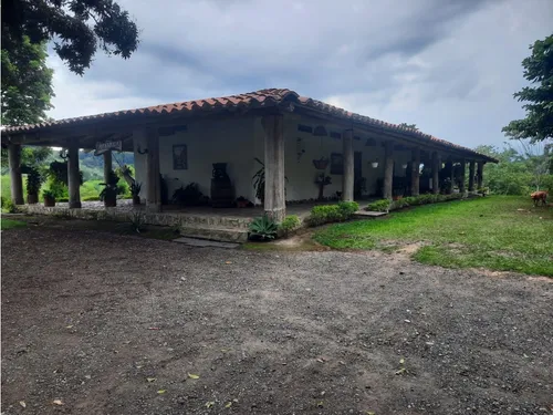 Venta Finca La Tebaida Cultivada En Pasto - 40 Cuadras