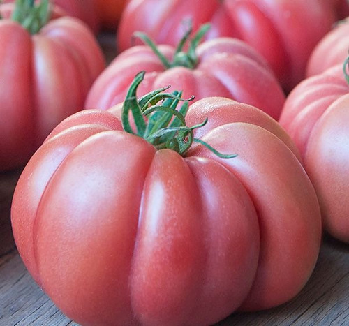 25 Semillas De Tomate Heirloom Variedad Rose + Regalo