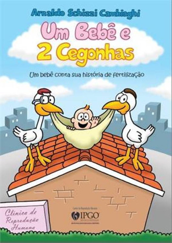 Bebê e 2 Cegonhas, Um: Um Bebê Conta Sua História de Fert, de Arnaldo Schizzi Cambiaghi. Editora LAVIDA PRESS, capa mole em português