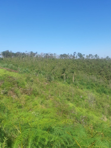 Imagem 9 de 21 de 02 - Lotes De 1000m² Em Atibaia!!!!