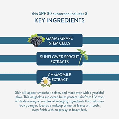 Bloqueador Solar Lancer Skincare Sheer Fluid Sun Shield, Pro