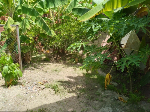 Imagen 10 de 13 de Venta Casa Av. Andrés Eloy Higuerote