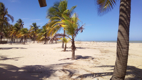 Imagen 1 de 10 de Casa De Playa En Venta . Istmo Caribe. Conjunto Privado