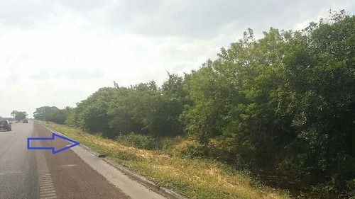 Imagen 1 de 4 de 4.01 Hectareas A Orilla De Carretera, Autopista Cordoba-vera