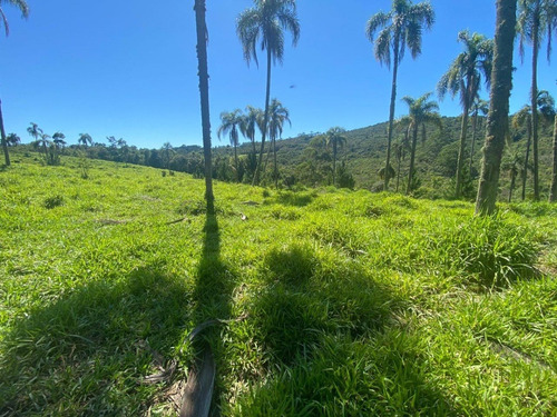 Imagem 9 de 14 de L30- Terrenos Proximo A São Roque