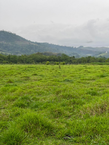Imagem 8 de 14 de N20- Terrenos 1.000m2 Jacarei Esta Acabando Ainda Da Tempo