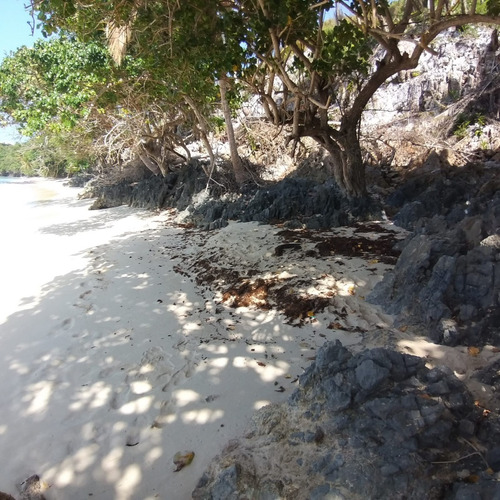 Se Terreno En Las Galeras Samaná