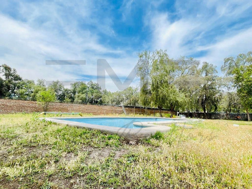 Santa Luz - Colina
