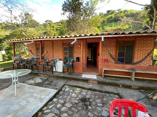 Vendo Finca Ganadera En Cisneros Antioquia