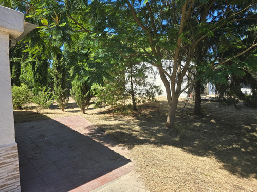 2 Casas. Juntas 115mil / Separadas Una 55mil Y La Otra 76mil