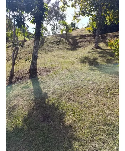 Lote Sector Las Cuchillas, Rionegro