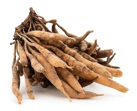 Shatavari Adaptógeno 100g Commons Polvo 100% Orgánico