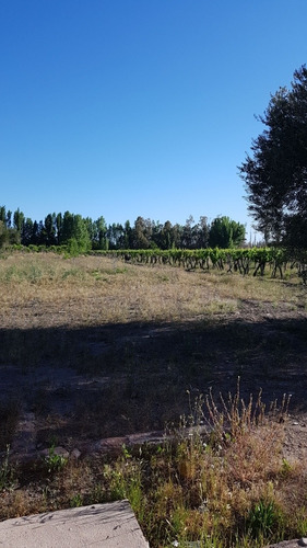 Imagen 8 de 8 de Finca Atuel Norte